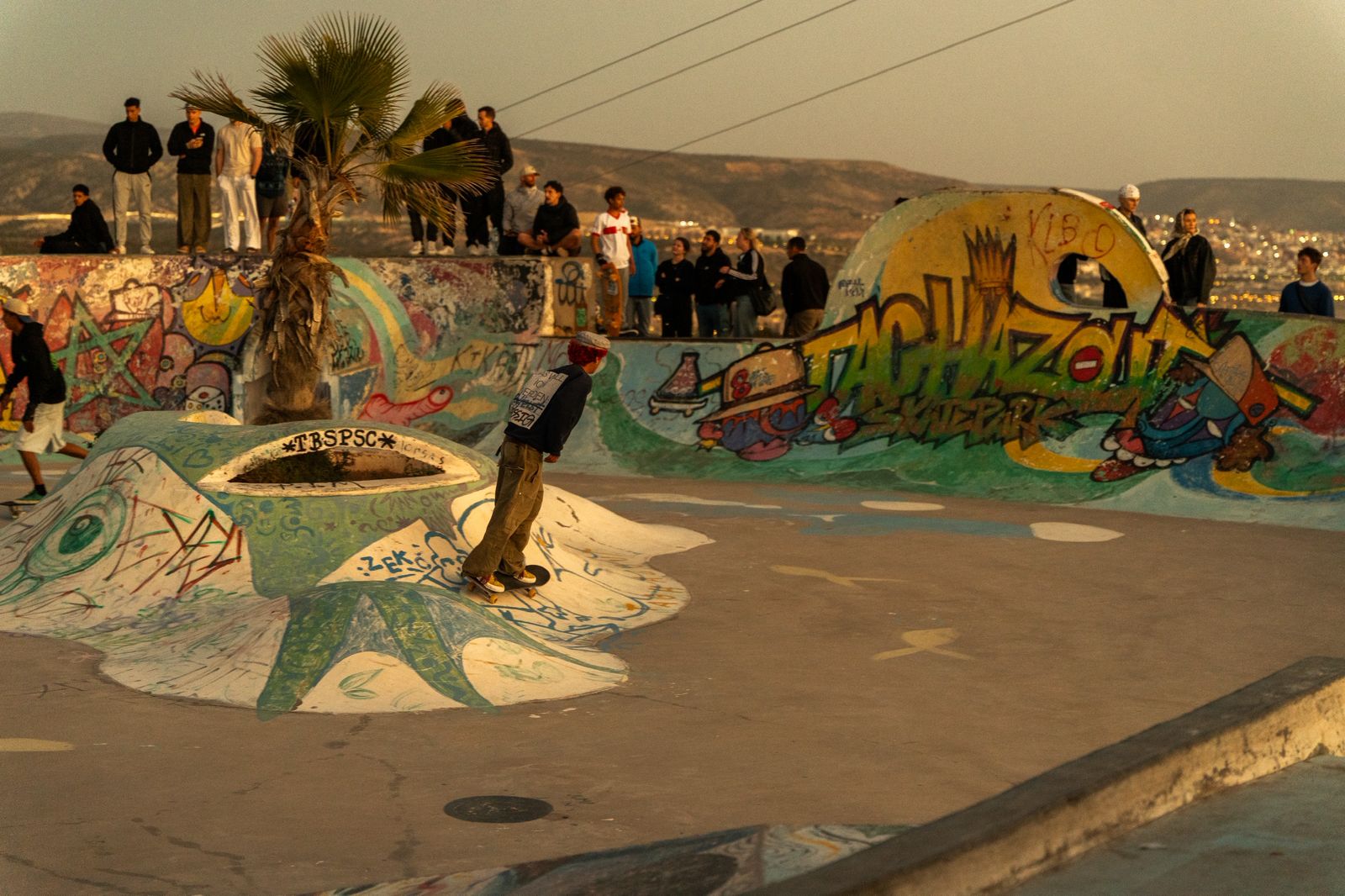 Surf & Skateboard
